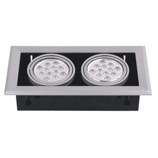 ҴLED24W(2ͷ12*1W)