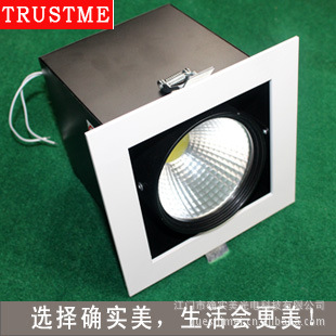 LEDƸդ̳դ10W