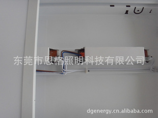 麣/ںס͸ĥɰƬLED