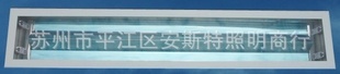T5˫28W