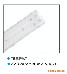 ͨ2*28w