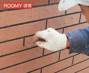 ROOMYǽװʩS0508