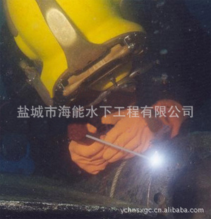 нӸˮ15950201818ˮµ纸