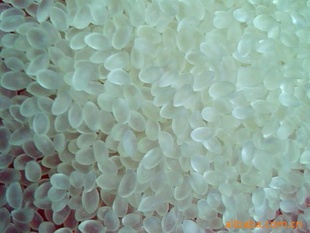 ŷ޽ڣArkemapebax2533