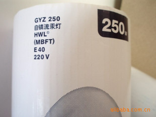 ŷ˾HWLѹ220V250WE40ŷ˾һ