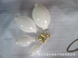 ֱѹˮ220V/250W