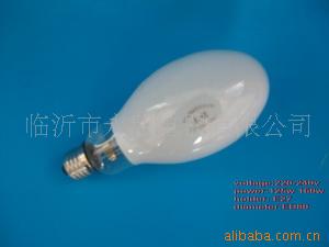 ЧˮƵѹ220Vʣ125W160W