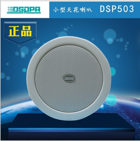 DSPPAʿDSP5033-6W컨