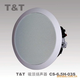 T&TCS-6.5H-03S䲹