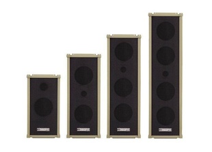 ʿDSPPAˮDSP408(40W~80W)У԰㲥