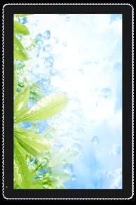 ̩Ӿ32Ӣڹʽ沥һ