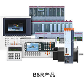 B&RģX20DS1319