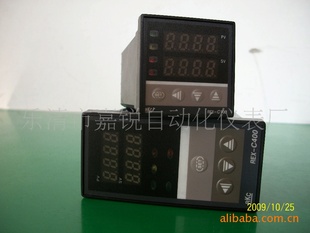 ¿رREX-C100FK02-M*GNPID
