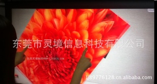 32紥ʾҺӣ42/˿
