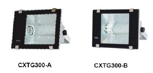 CXTG300-Aȫһ廯Ͷ