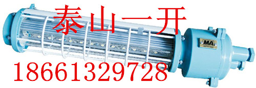 DGS18/127L(A)øLEDƳ