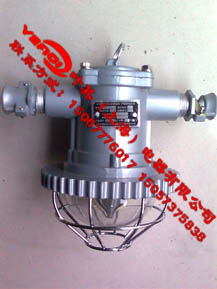 DGS-12WøLED