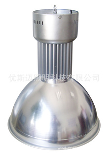 ֱUSMILE˹LED-100W