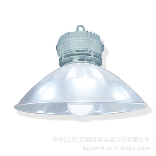 ޼GC2165W