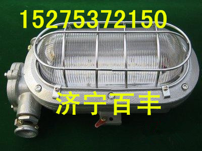 DGC2×18/127Y(A)矿用隔型支架荧光灯