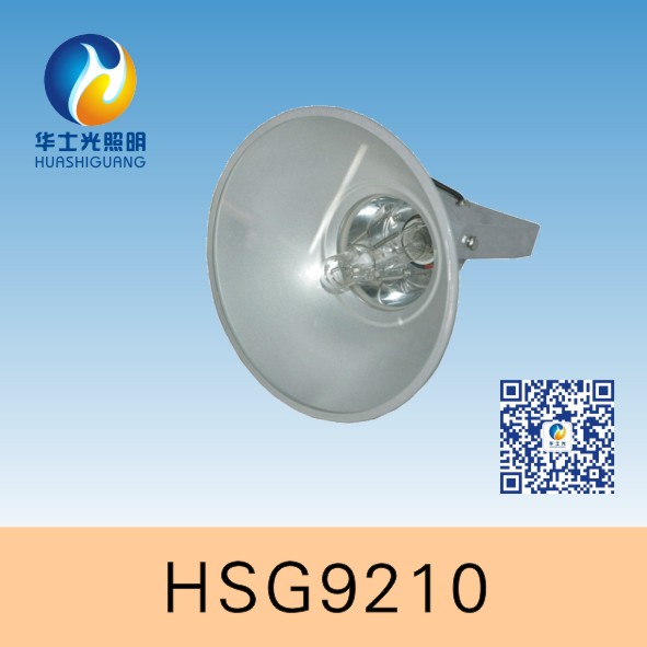 HSG9210/NTC9210Ͷ