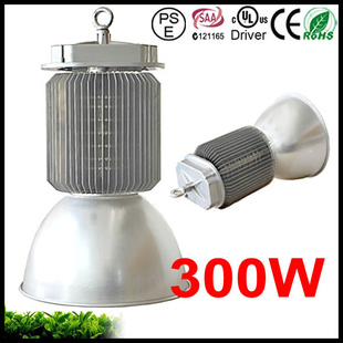 300LED