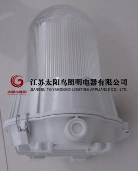 CX60һ廯