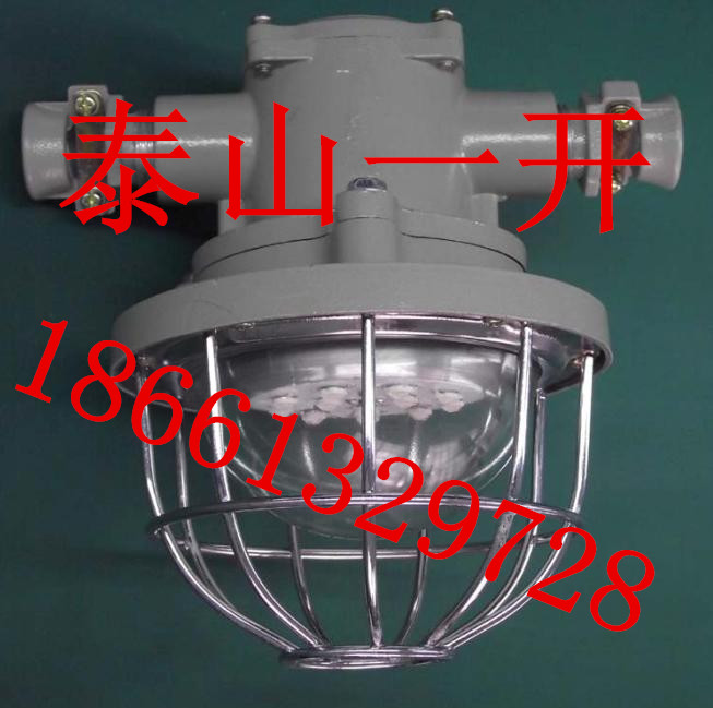 DGS12/127L(B)øLEDֱ