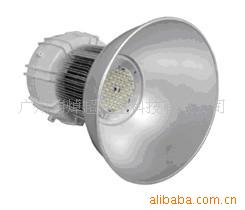 ؼ50WLEDLED50WLEDƬ50WLED