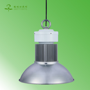 LED100wled100w