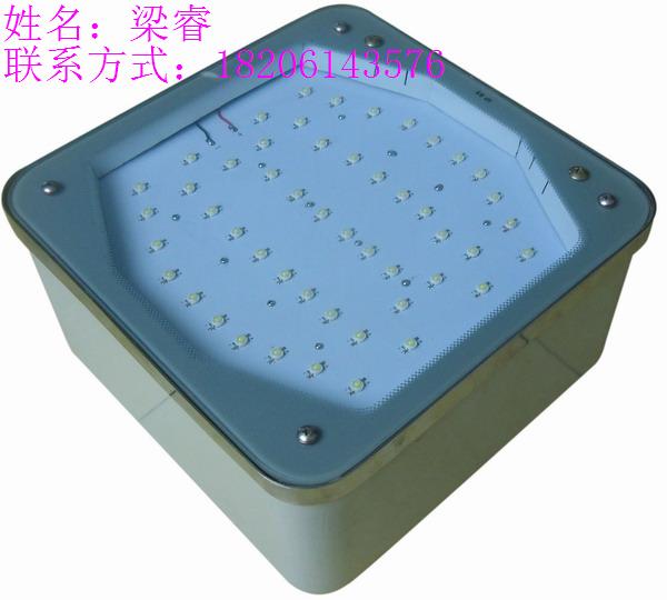 ͵DCP300LED͵