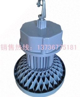 DGS100/127LAƿLED100W