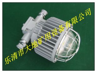 DGS50/127L(A)Բ
