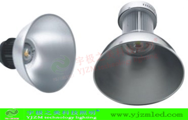 LEDʹLED30W100W