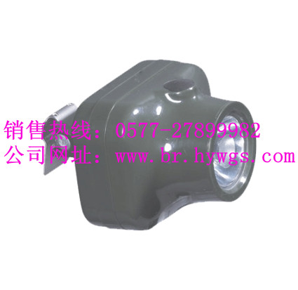 IW5110̬ǿͷ