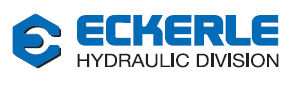 Ϸʶ¹ECKERLEճֱ