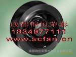 ӦABBƵR2E175-AC77-05
