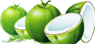 ڶξлҬʳƷҬ