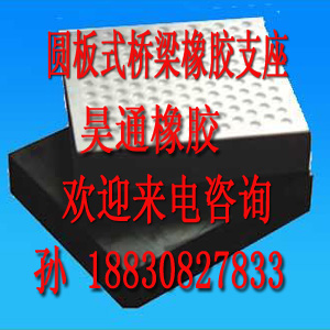鹫·ʽ֧GJZ200*300*49ͺȫ