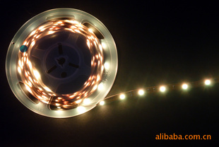 5050ʰ׹LED
