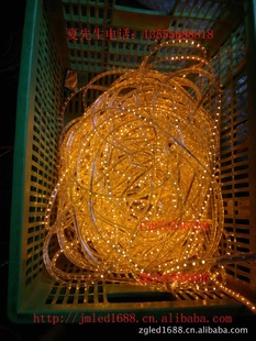 ֱledƬ5050220v)