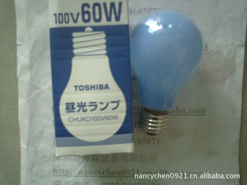 TOSHIBA֥100V60W
