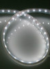 LED/LEDƬ/RGB/߲ʵƴ