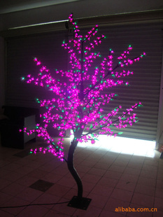 LED˵