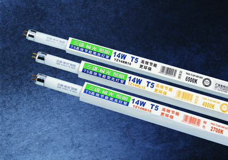 ۼT5Դ
