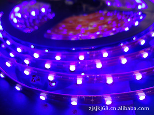 LEDledƴ3528led5050LEDƴ