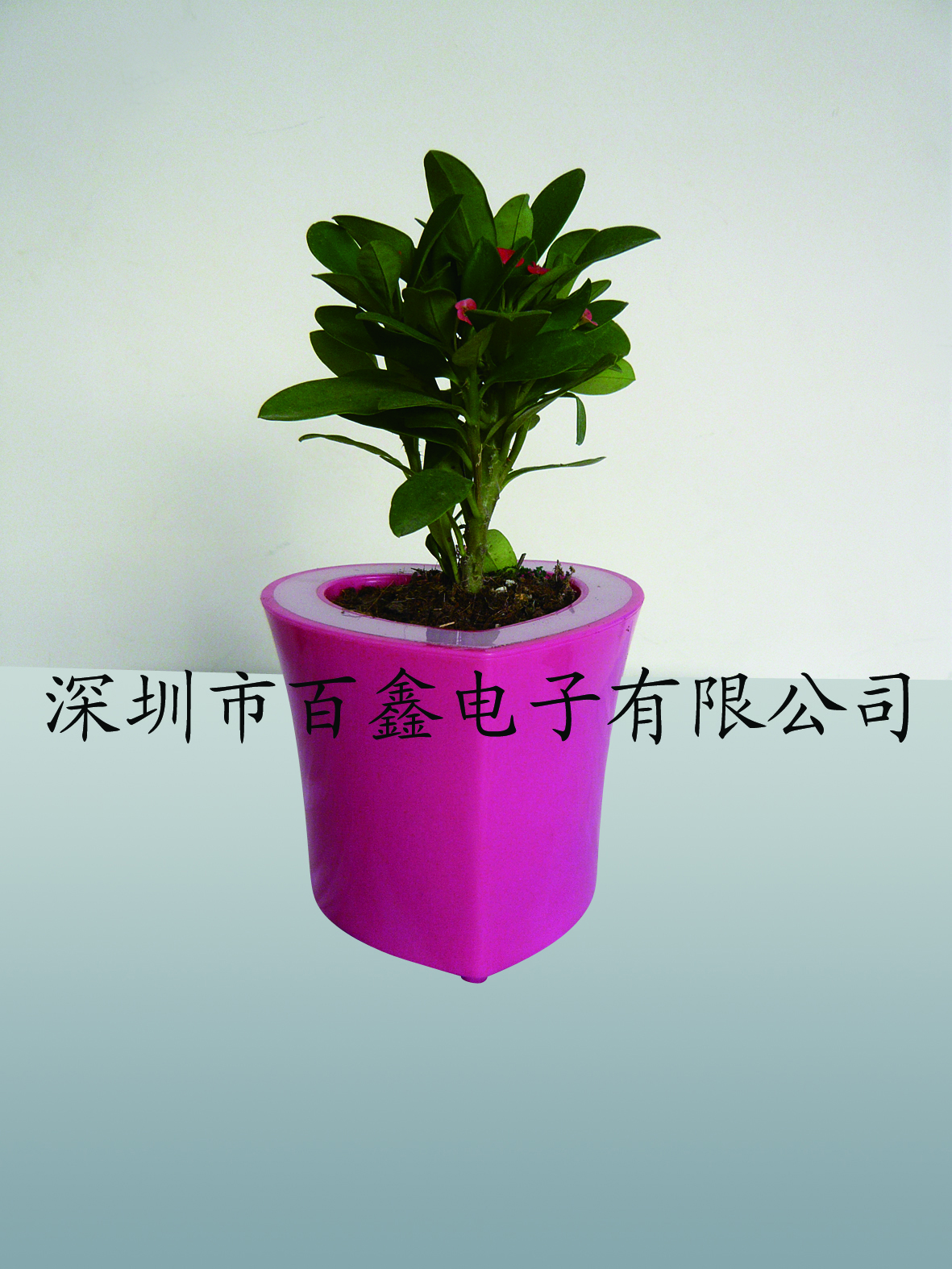 㷢컨