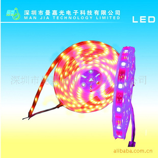 ֱLED,LEDȾư04-14