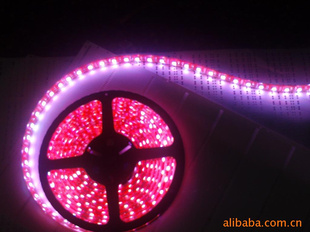 LED505030l/mLEDˮ