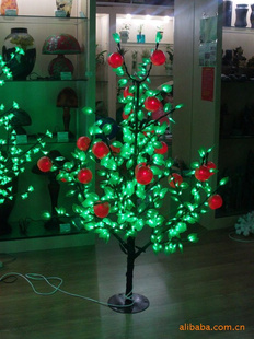 LEDLEDӣLED06/04